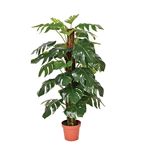 Catral 74010020 Planta artificial Monstera, 22.0x22.0x145.0 cm