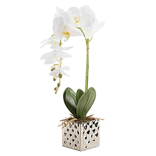 CLOCOLOR Flores artificiales de orquídeas Bonsái de Phalaenopsis con maceta de alta calidad para decoración hogar de fiestas (Blanco)