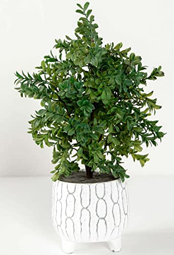DECOHEM Planta Artificial Decorativa Estilo Boj en Maceta Cerámica - Interior Exterior - 40cm - Decoración Hogar, Oficina, Restauración