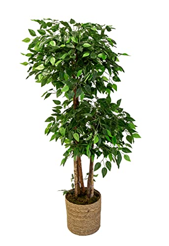 Ficus Artificial de 2 y 3 Copas con Troncos Naturales, Elaborados con los Mejores Materiales, Ideal para Decoración de Hogar, Planta, Árbol Artificial (150cm, 2 Copas)