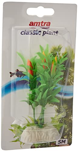 Amtra A8011252 Planta Clásica Egeria Flowers Bicolor, S (5 x 10 cm)