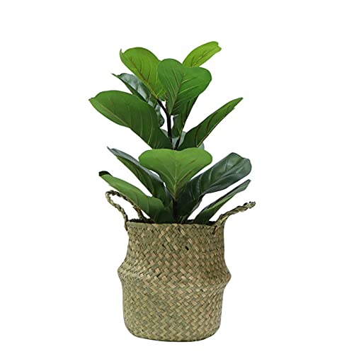 AWNIC Higuera Artificial Realista Planta Artificial Decorativa Grande Árbol Falso Interior con Maceta 55 cm Hogar decoración Moderna