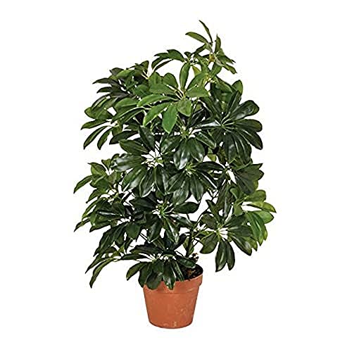 Planta artificial cheflera 65 cm altura, Catral 74010004