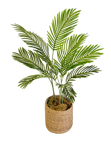 Palmera Artificial, Ideal para Decoración del Hogar u Oficina, Planta, Árbol Artificial (80 cm)