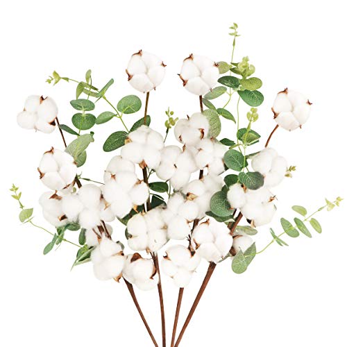 4 Pcs Tallo de Flores Secas Naturales Blancas Rama Flor Seca Algodon Artificiales con 6 Cabezas Bouquet Flores con Hojas de Eucalipto Decoracion para Boda Jarron Hogar Fiesta