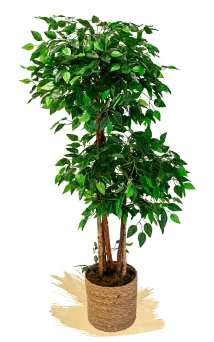 Ficus Artificial de 2 y 3 Copas con Troncos Naturales, Elaborados con los Mejores Materiales, Ideal para Decoración de Hogar, Planta, Árbol Artificial (150cm, 2 Copas)