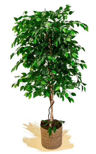 Ficus Artificial con Troncos Naturales, Elaborados con los Mejores Materiales, Ideal para Decoración de Hogar, Árbol Artificial (150 cm)