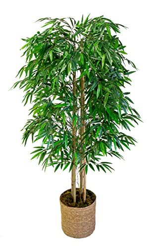 Maia Shop 1137 Bambú Cañas Naturales, Elaborados con los Mejores Materiales, Ideal para Decoración de hogar, Árbol, Planta Artificial (150 cm), Mixtos