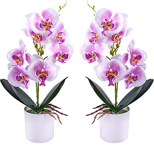 Flores de orquídeas Artificiales - 2 Piezas de Flores de orquídeas Falsas en macetas con jarrón de plástico para Centro de Mesa de Oficina en casa decoración de Fiesta de Boda(Morado)