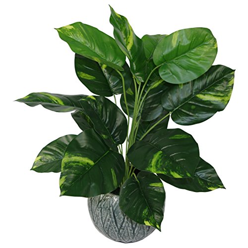 Leaf Design UK-Planta Artificial de 60 cm, en Maceta de plástico Negro, Hiedra del Diablo