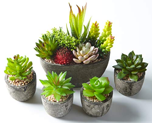 Jobary 5pcs Plantas Suculentas Artificiales Falso Plantas Decorativas Suculentas,Ideal para el Hogar, Oficina y Decoración al aire libre Falso Plantas