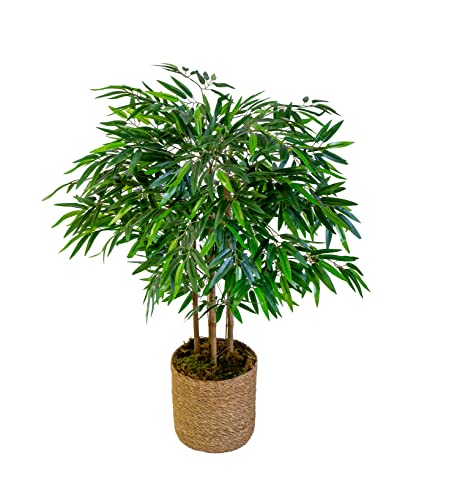 Maia Shop Bambú Cañas Naturales, Elaborados con los Mejores Materiales, Ideal para Decoración de hogar, Árbol, Planta Artificial (105 cm)