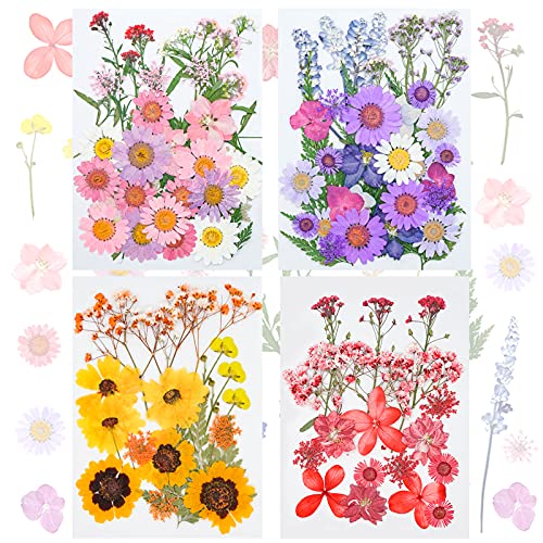 FINEVERNEK 111pcs Flores Secas Naturales, Flores Prensadas Secas, Juego de Flores Secas, Decoración Floral Flores Secas, para Joyería de Resina DIY, Bricolaje y Manualidades Fabricación
